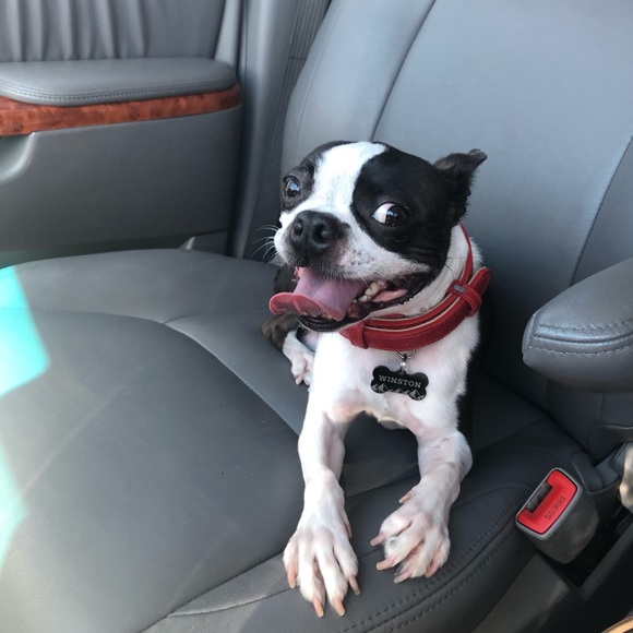 Meet your Posher, Karla - Picture 2 of 8